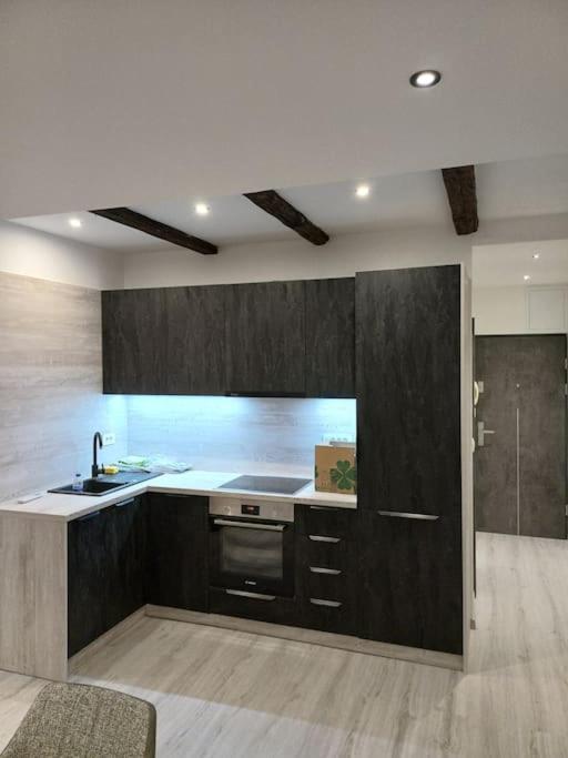 Apartman Ena Radiceva Zagreb Dış mekan fotoğraf
